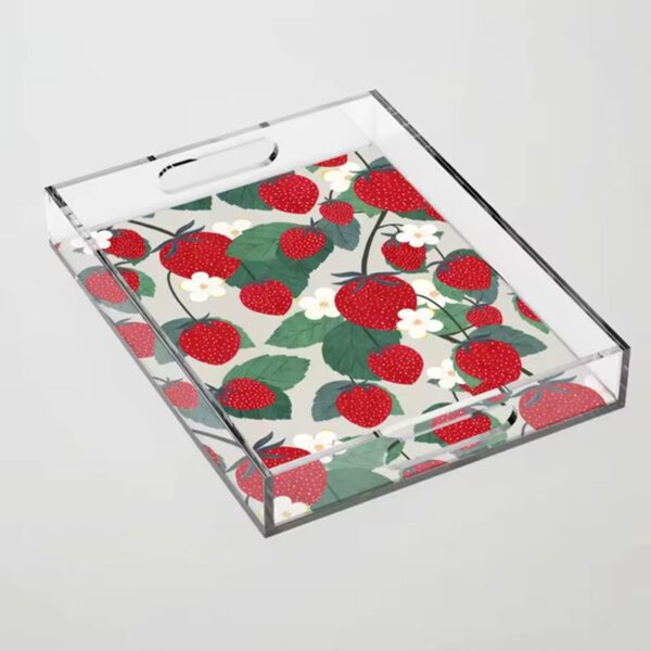 Coloured Acrylic Tray
