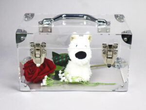 clear Acrylic Flower Boxes