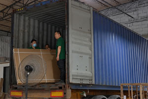 Shipping Policy